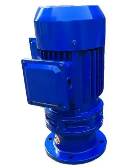 What are the hazards of motor overload operation of BLD11-17-1.5KW cycloidal reducer