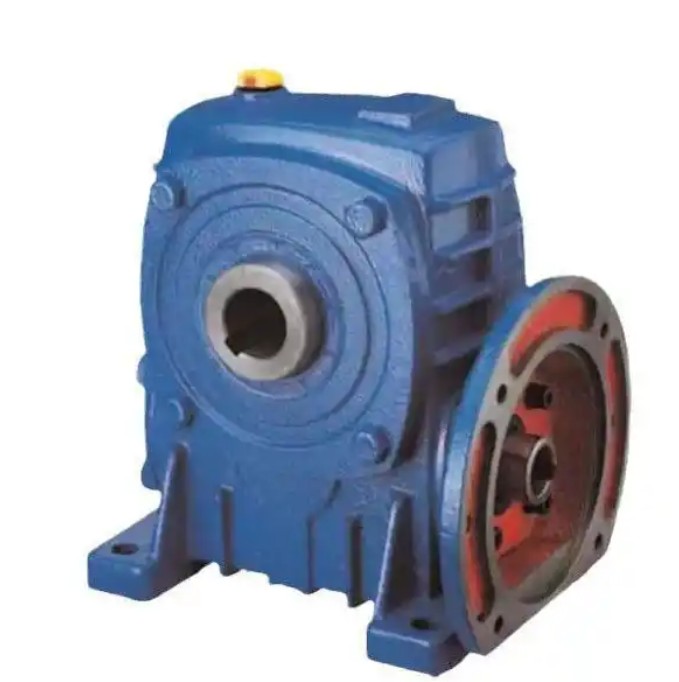 What are the common misunderstandings in WPDKA250-60-11KW worm gear reducer maintenance?
