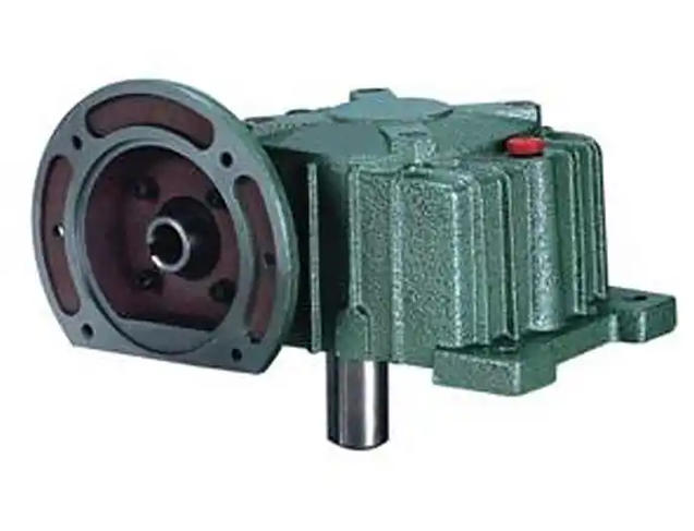 Technical Specifications & Working Principle of WPDX80-50-1.5KW Worm Gear Reducer