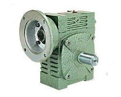 Inch worm gear reducer