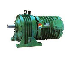 Roller motor reducer