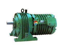 Roller motor reducer