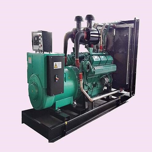 Shanghai dry energy generating set