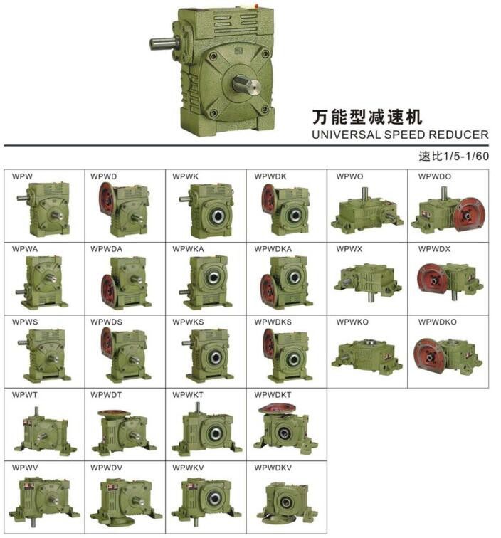 WPW worm gear reducer