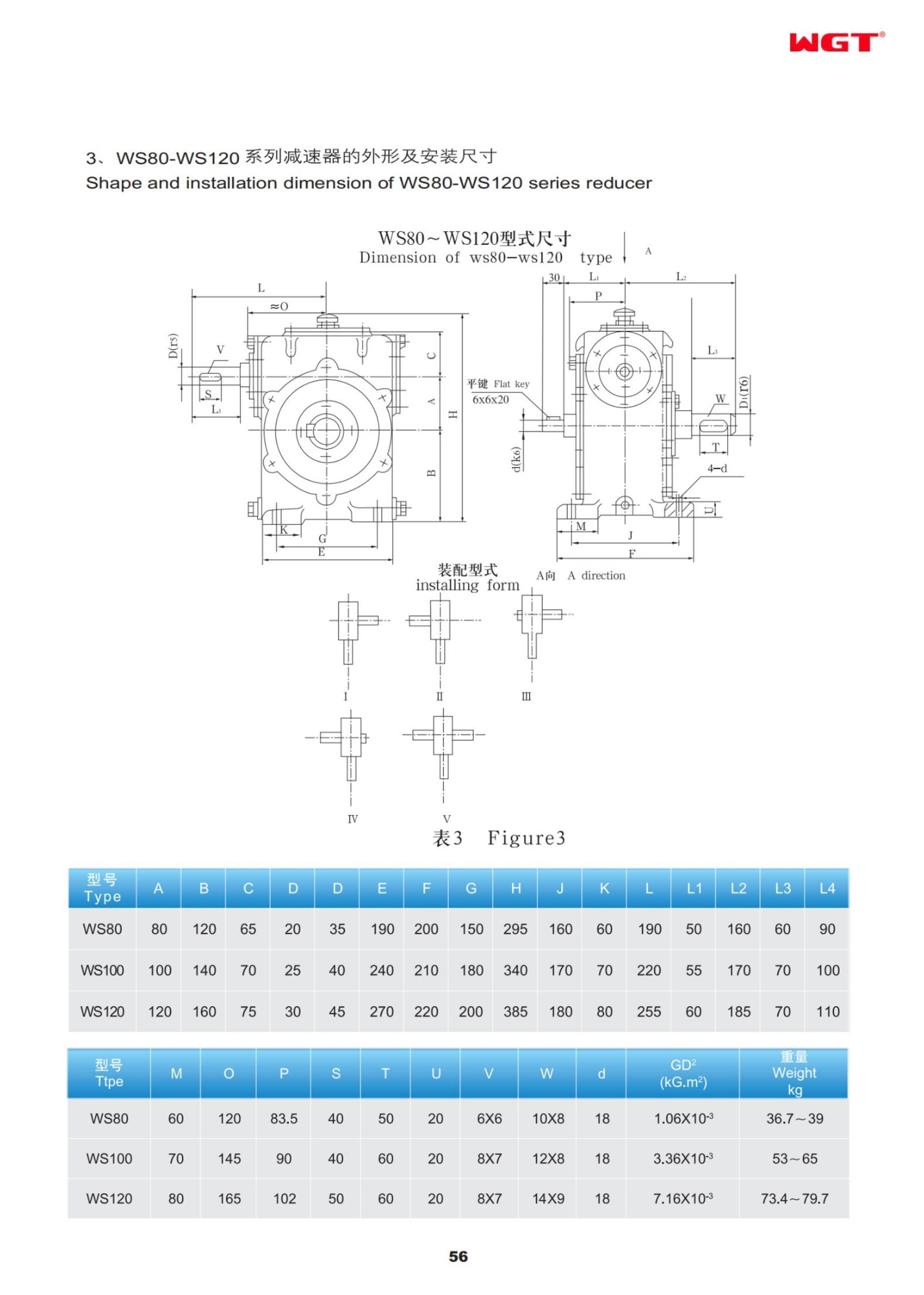 WS100 cylindrical worm reducer WGT