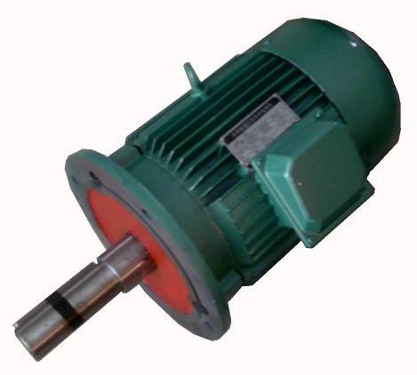 YPG series variable frequency roller three-phase asynchronous motor