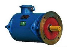 YZLPWT/YZPSL series water-cooled high temperature motor