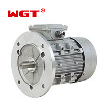 YE2 auminum shell 3 phase ac gear motor 220V ac motor with brake