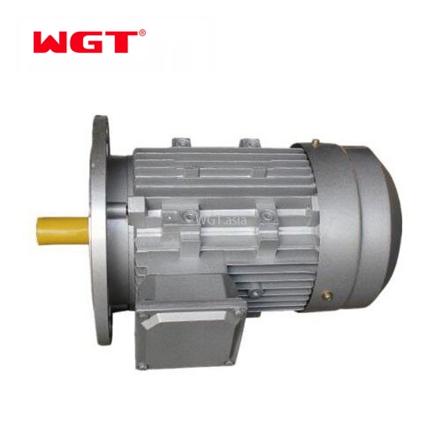 YE2 auminum shell 3 phase ac gear motor 220V ac motor with brake